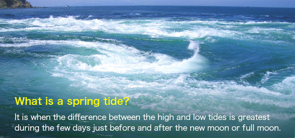 It is when the difference between the high and low tides is greatest during the few days just before and after the new moon or full moon.