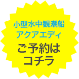 小型水中観潮船アクアエディ ご予約はコチラ